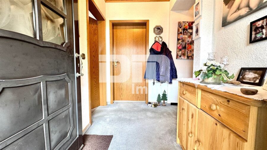 Schönes 1 - 2 Familienhaus mit riesigem Grundstück, Doppelgarage und umfangreichen Nutzflächen - EG FLur / Diele / Windfang / Treppenaufgang